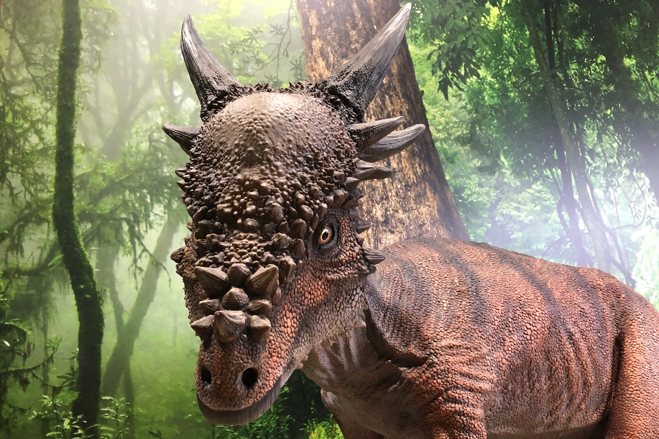 stygimoloch